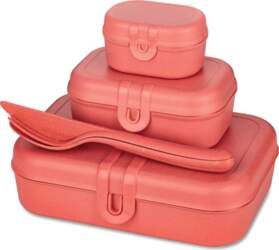Koziol Lunchbox PASCAL READY,  3  i