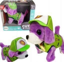 LeanToys     Chodzi | 5905991004479 | 5905991004479