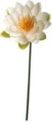 Leonardo lilia 75 Fiore | L-031696