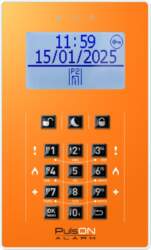 BCS PULSON front LCD/C ORA (11399)