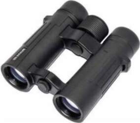 Braun Compagno 8x34 WP (20002) |