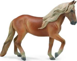 Collecta Paso - (XL) (004-88792) |