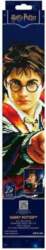 DIAMOND DOTZ Adults Harry Potter (018-DD10100)