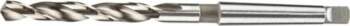 Hikoki Baildon DIN 345 RN NWKc
