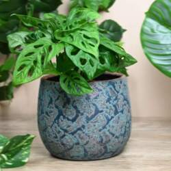 Lumarko CERAMIC POT CLEMENTE D16.5