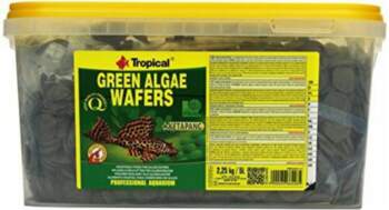 Tropical GREEN ALGAE WAFERS 5l |