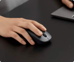 Xiaomi Wireless Mouse 2  (57864) |