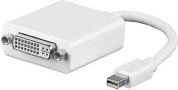 AV MicroConnect DisplayPort Mini - DVI-I