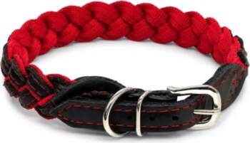 Barry King Obroża Inferno Braid –
