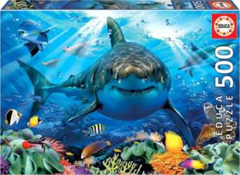 Educa Puzzle 500   G3 | 452692