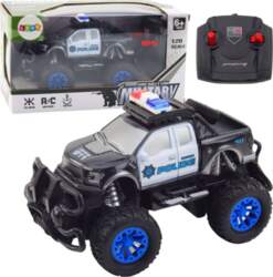 LeanToys      RC 1:20 | 24767 |