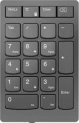 Lenovo | Professional | Go Wireless