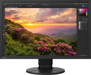 Monitor Eizo ColorEdge CS2400S | CS2400S