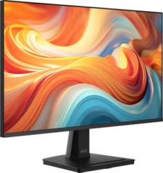 MSI Pro MP251 E14L computer monitor