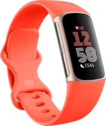 Smartband Fitbit Fitbit Activitytracker Charge 6