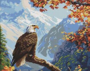 Ideyka   -   40x50cm | 4823104364801 |