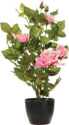 Kwiatydonice donice ROSE ARTIFICIAL IN A