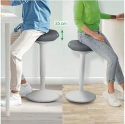 Leitz Ergo | 65450085 | 4002432138425