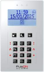 BCS PULSON Front LCD/C GRL (11395)