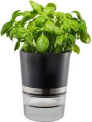 Gefu Gefu Botanico Herb Pot |