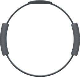 Nintendo Ring Fit Adventure Nintendo Switch