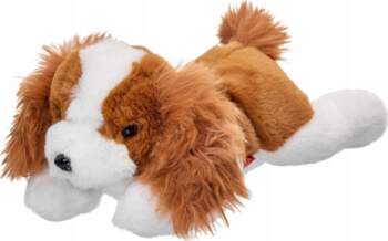 Beppe Cavalier 35 cm | GXP-910106