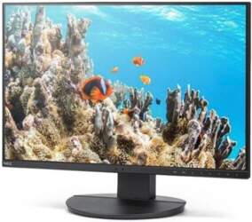 Monitor Sharp MultiSync EA242W (60006214) |