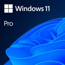 Microsoft Windows 11 Pro OEM |