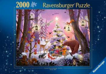 Ravensburger Puzzle 2D:    EDUKAMP | 4005555014171