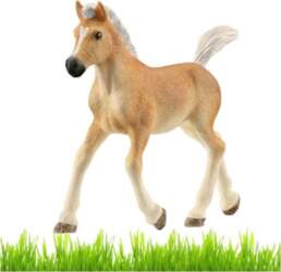Schleich Haflinger | 024134 | 4059433557519