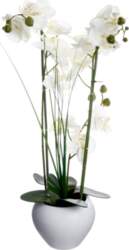 Atmosphera    53 cm | 136510B |