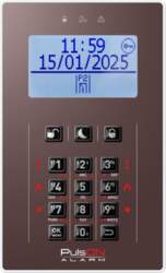 BCS Pulson Front LCD/C BRO (11397)