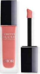Dior Forever Blush Soft Filter 01