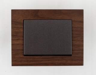 Harry Potter CHANGEOVER SWITCH FLUSH NOFRAME