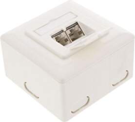 InLine Cat.6 ścienne, 2x RJ45