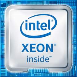 Procesor serwerowy Intel Intel Xeon E-2414