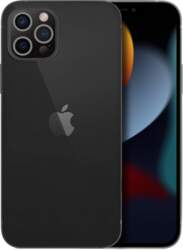 Case PURO for iPhone 13 Pro