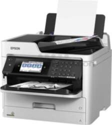 Epson WorkForce Pro WF-M5799DWF (RIPS)