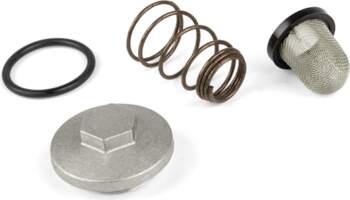 Standard Parts Eļļas filtra / spraudņa
