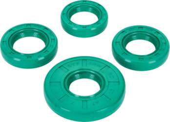 Oil Seals engine Schmitt Evolution FKM