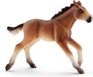 Schleich - Mustang Foal