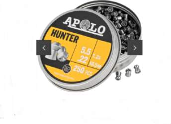 Apollo Hunter 5,5