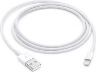 Apple Lightning to USB Cable 1m