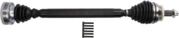 Pusass PASCAL G2S020PC