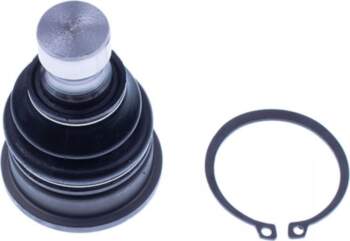 Lodbalsts DENCKERMANN D110302