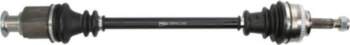 Pusass PASCAL G2R081PC