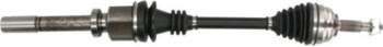 Pusass PASCAL G2E016PC