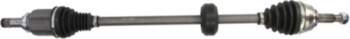 Pusass PASCAL G2E019PC