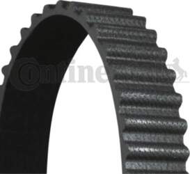 Zobsiksna CONTITECH CT1238