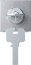 ABB Key switch insert/cover Key, Alternating-/alternat